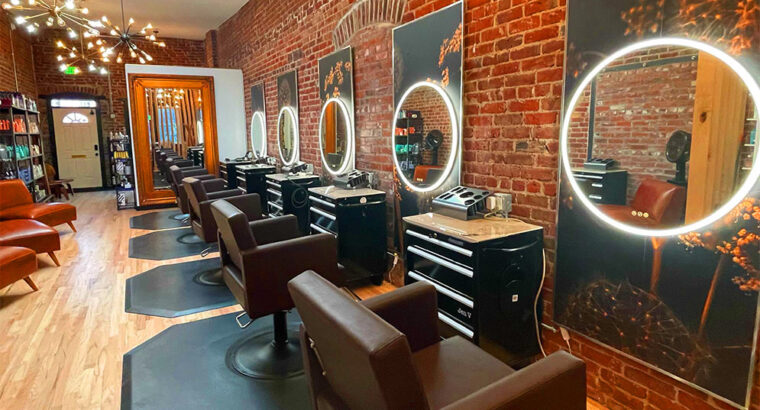 Luxury beauty salon for sale with two branches in hyderabad, equipped with salon management software.