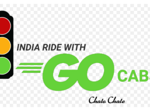 Go Cabs franchise opportunity