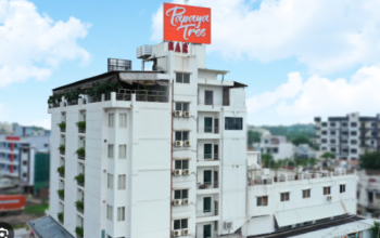 Papaya Tree HOTELS & RESORTS Franchise Details