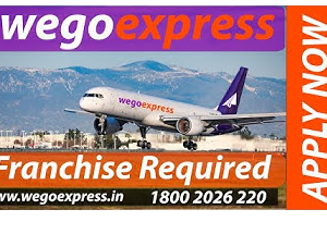 Wego Express Logistics & Shipping Franchise Details