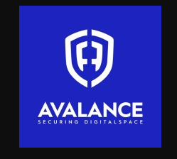 Avalance Global Solutions Franchise Details